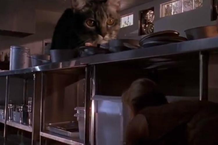 Some Genius Has Replaced The Dinosaurs In The Jurassic Park