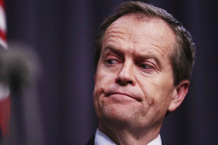 Pressure on Anthony Albanese to declare position after Bill Shorten declares he will run - Vimarsana News