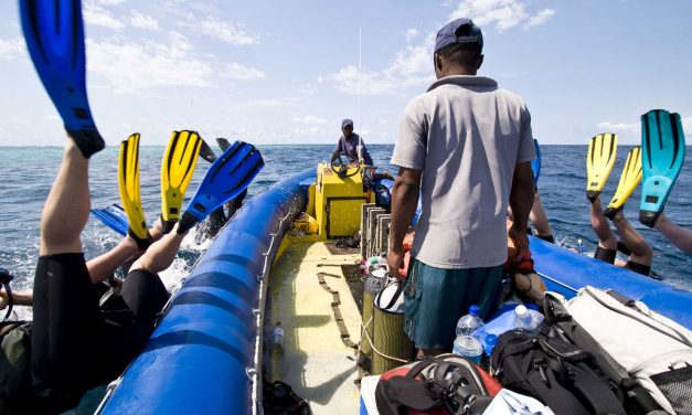 Scuba diving off the coast of Zanzibar