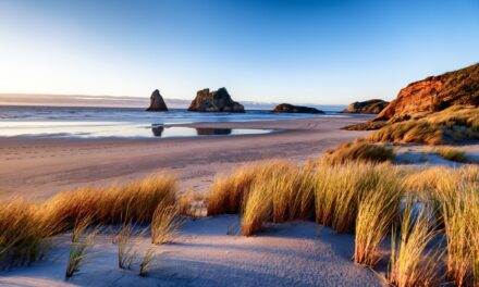 New Zealand’s best beaches
