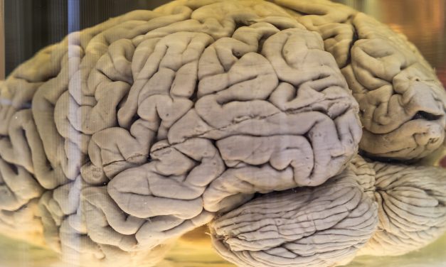 Weird London: Discover the Big Smoke’s strangest corners and subcultures, from Star Trek conventions to a naturist club