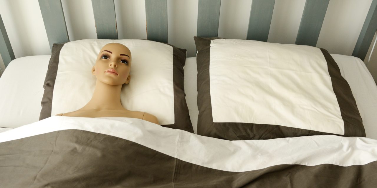 Sex robot brothels could be coming to a city near you