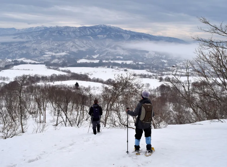 The Snow Country