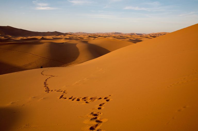 Saharan Sands