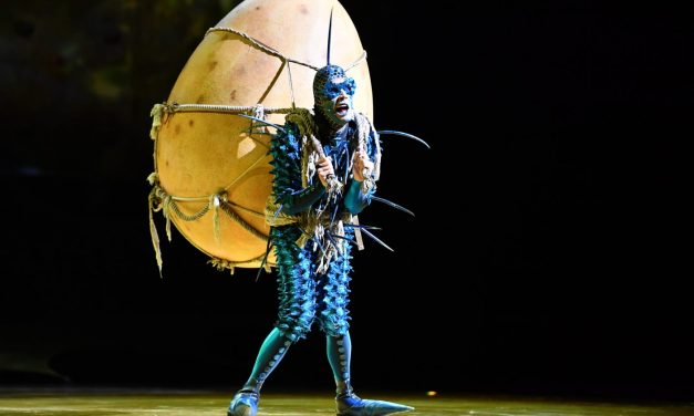OVO – Cirque Du Soleil