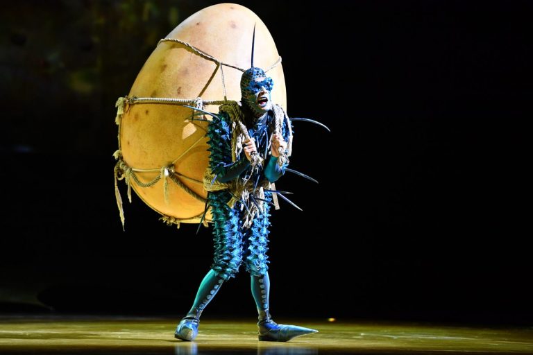 OVO – Cirque Du Soleil