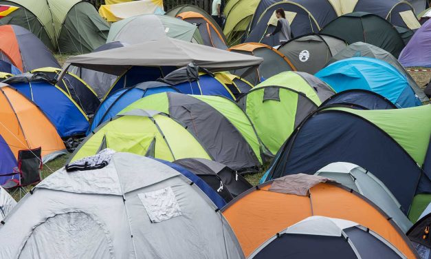 Festival Gear Guide