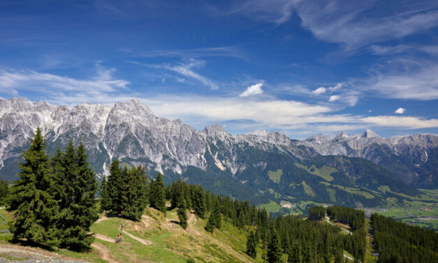 Local Tourism in the Saalfelden Leogang, Austria