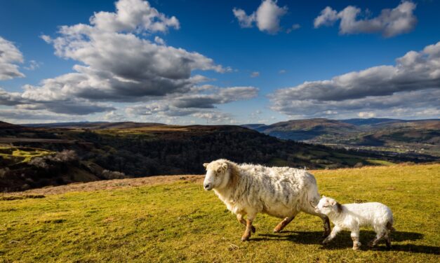20 interesting and fun facts about Wales