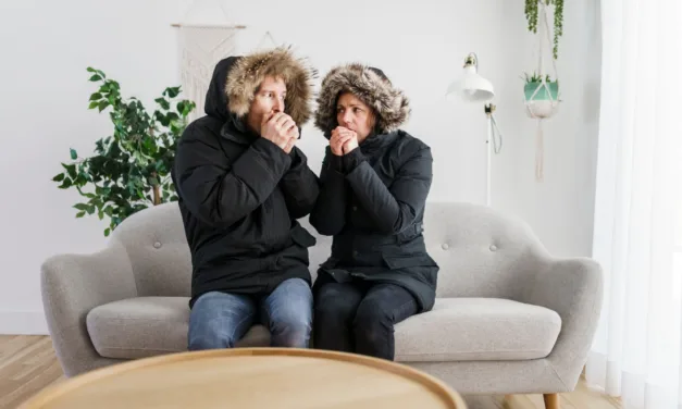 Smart Thermostat Showdown. We test and compare the three leading thermostats