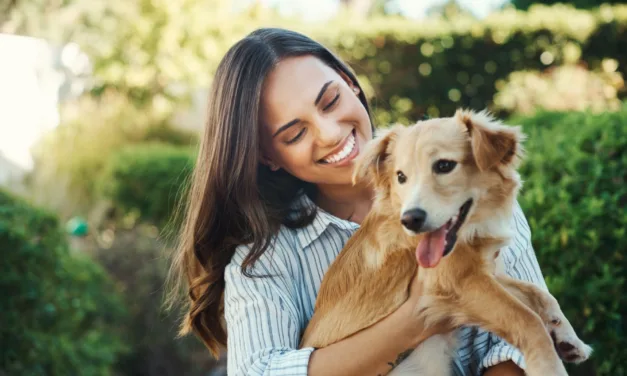 Tips to Take Care of a New Dog