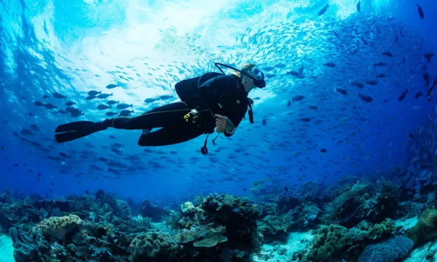 Top 5 Places to Scuba in Florida