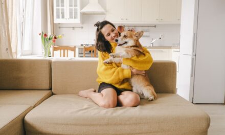5 Ways to Make Your Home Dog-Friendly Without Losing Style