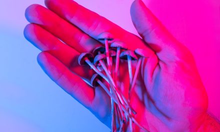 What to Expect from Magic Mushrooms