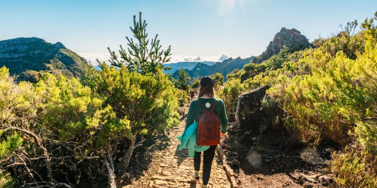 Travelling for Culture