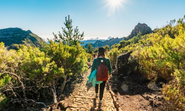 Travelling for Culture