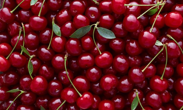 Mak Food Company: Spain’s only supplier of Cherry Sour