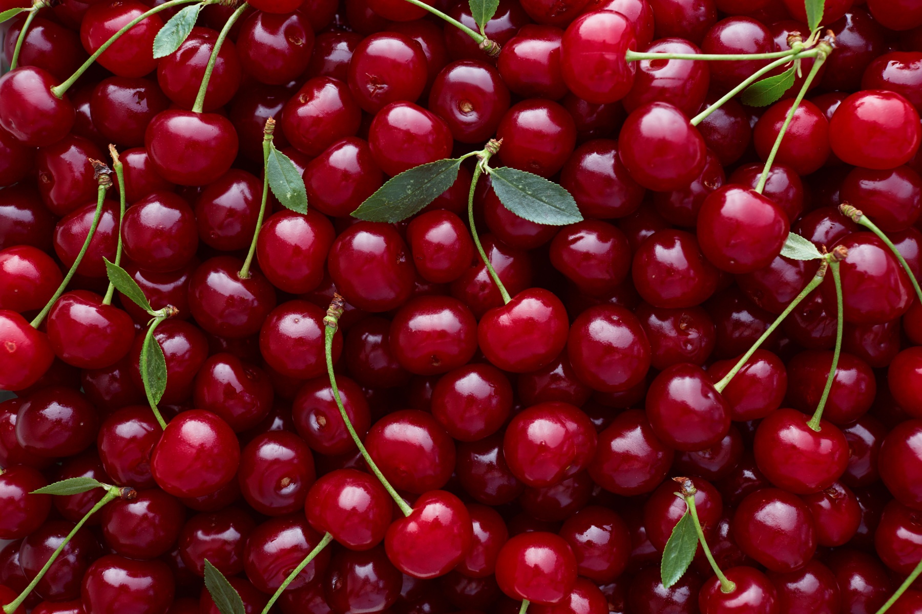 Mak Food Company: Spain’s only supplier of Cherry Sour