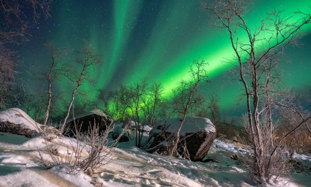 Trips of a Lifetime: Authentic Winter Adventures in the Arctic Circle