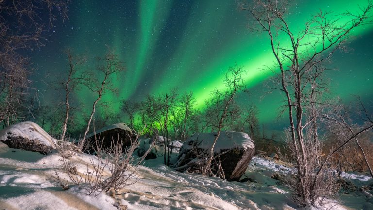 Trips of a Lifetime: Authentic Winter Adventures in the Arctic Circle