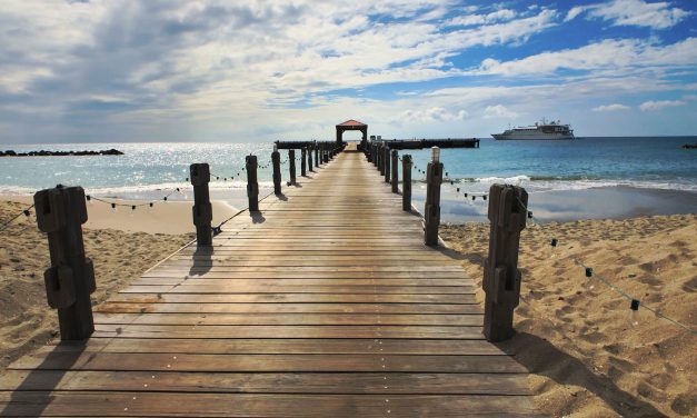 In The Footsteps of Nelson : A Nevis Sojourn