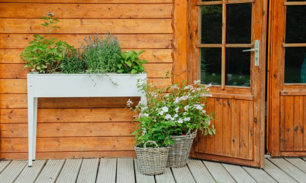 From Urban Stress to Cabin Bliss: Why More Brits Are Choosing to Buy Log Cabins in the UK