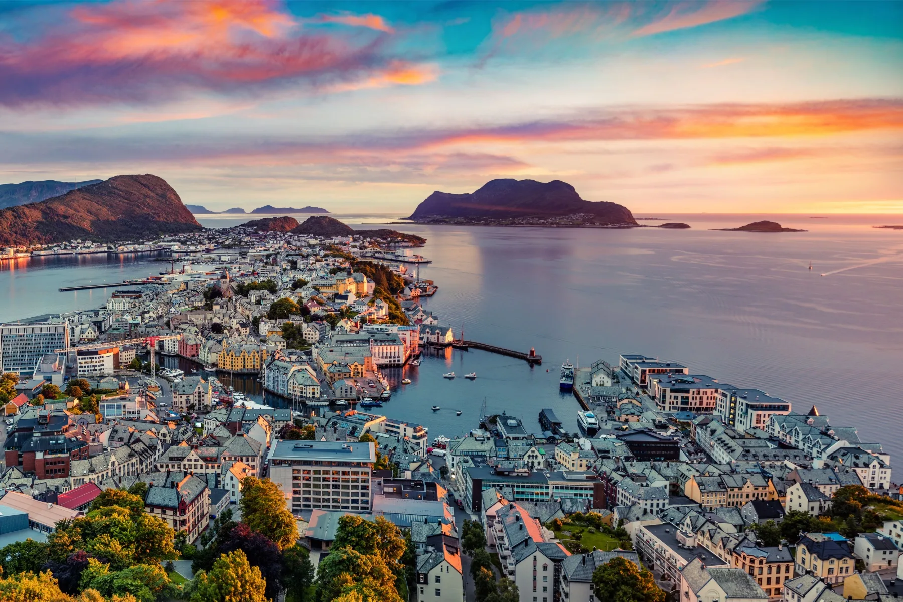 Shutterstock_1239301300