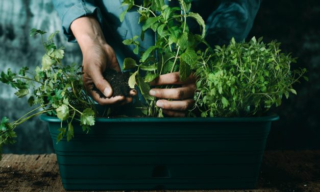 How to Make Time for Joy as You Get Older and Life Gets Busier