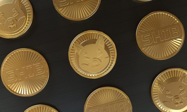 Could Shiba Inu be a savvy addition to your portfolio for diversification right now?