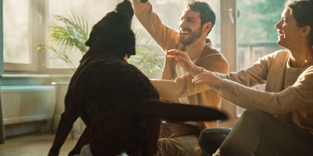 How to Build a Lifestyle That Supports Financial Freedom