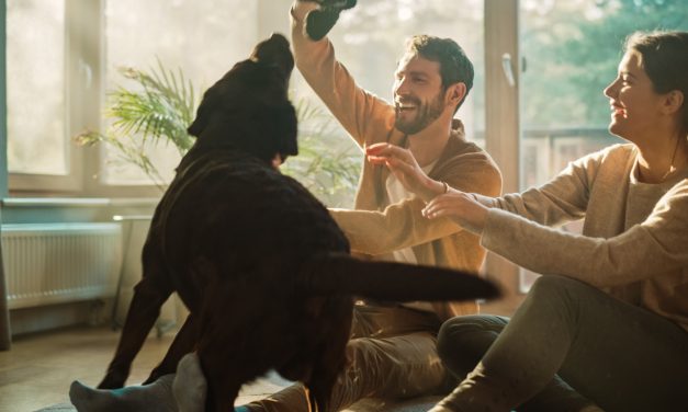 How to Build a Lifestyle That Supports Financial Freedom