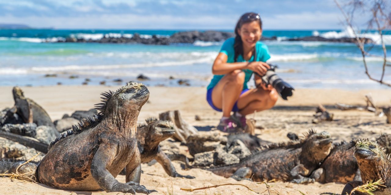 The Galápagos Effect: Changes to your travel mindset after an immersive wildlife experience