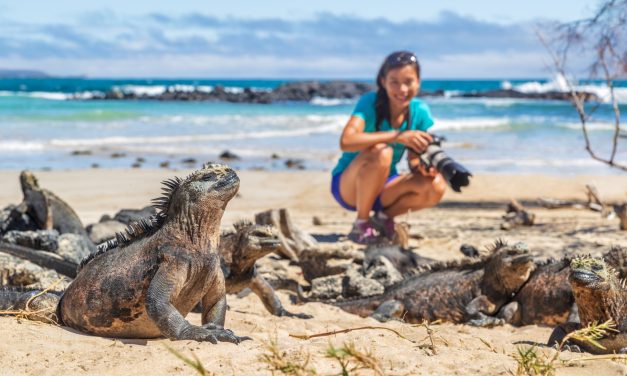 The Galápagos Effect: Changes to your travel mindset after an immersive wildlife experience