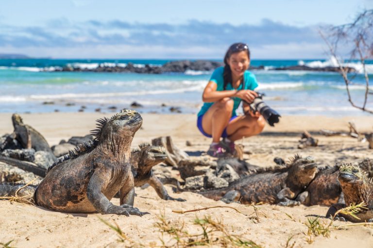 The Galápagos Effect: Changes to your travel mindset after an immersive wildlife experience