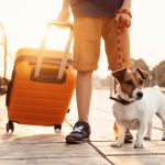 Border-Free Safety: Exploring the Globe with Your Dog and a Digital Safety Net