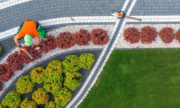 How Landscape Designers Turn Outdoor Ideas Into Reality
