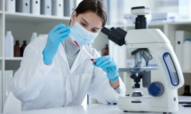 Cell Line Development and Its Role in Biosimilar Comparability