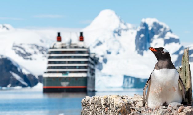 7 Luxury Wildlife Experiences in Antarctica for Families and Couples