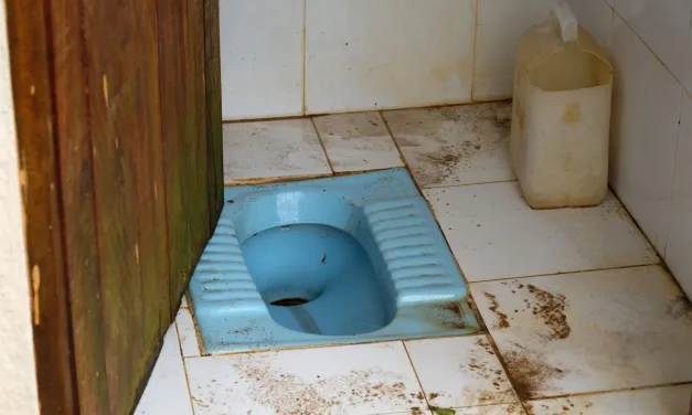 Oh Sh*t! Eastern European Toilets: A Frank Survival Guide