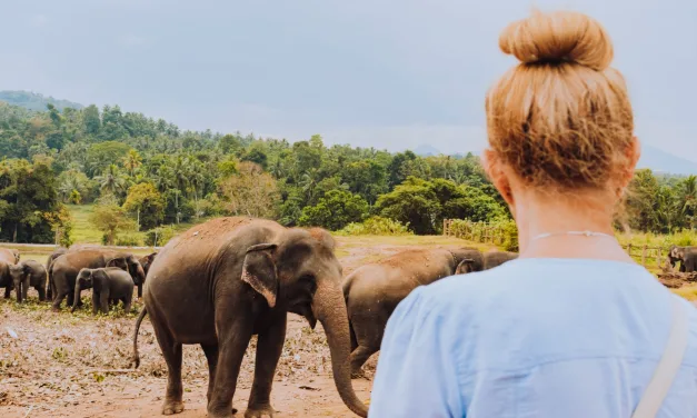 Solo travel over 40. The gap year you’re ready for