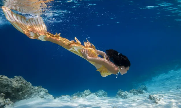 Professional Mermaids: Wet, Weird and Working