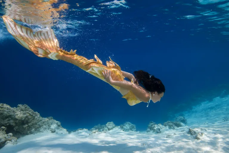 Professional Mermaids: Wet, Weird and Working