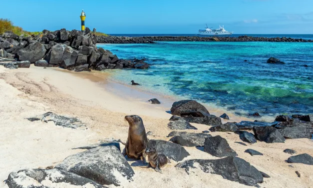 Every First Timer Should Consider These Elements Before Booking a Cruise to the Galapagos