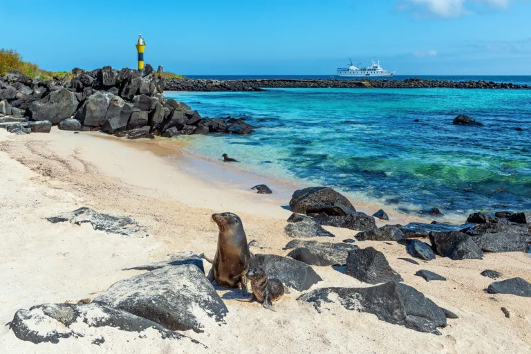 Every First Timer Should Consider These Elements Before Booking a Cruise to the Galapagos