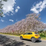 Going to Mallorca and in need of a car?