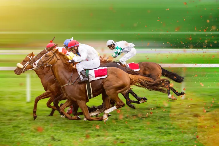 A Traveller’s Guide to Irish Summer Racing Festivals