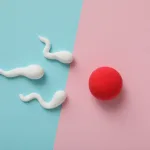 Freezing Your Eggs: The Reality Nobody Tells You