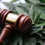 Why Is Cannabis Still Illegal in the UK? The History Behind Medical Cannabis Law