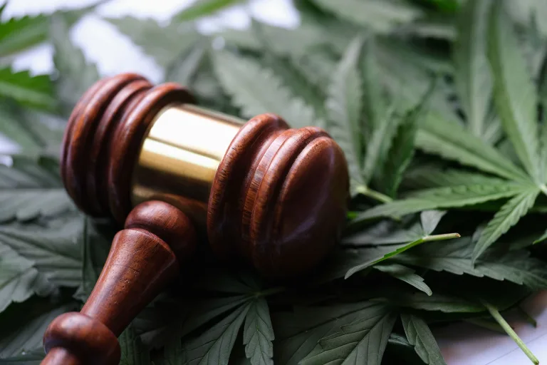 Why Is Cannabis Still Illegal in the UK? The History Behind Medical Cannabis Law