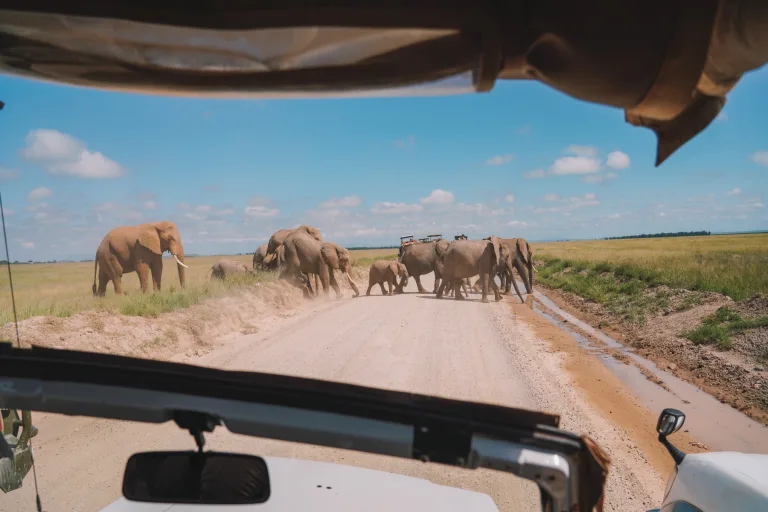 Looking Beyond the Big Five: Africa’s Most Exclusive & Luxury Safari Experiences